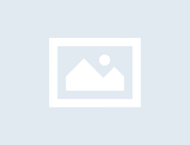 No-Image placeholder